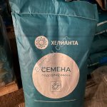 Гибрид подсолнечника Кречет