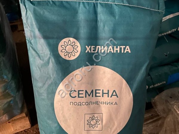 Гибрид подсолнечника Кречет