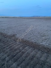 агрокомплекс с землей, недвижимостью и техникой (420 га, Саратовская обл.)