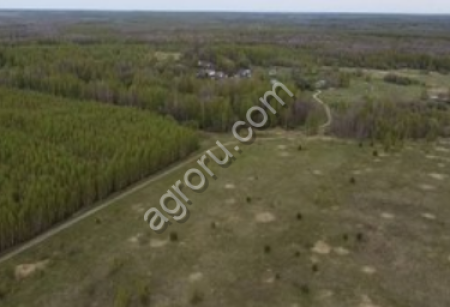 Земля сельскохозяйственного назначения