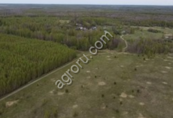 Земля сельскохозяйственного назначения