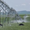 Круговая дождевальная машина Каскад 416 метров (секторная)
