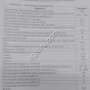 Шприц мясной Компо-мини 1500