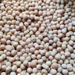 Горох продовольственный FOB Новороссийск