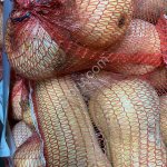 тыква батернат