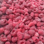 Малина целая