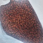 Кедровые орехи