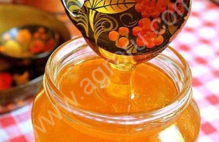 Мед оптом каштан, майский, горная липа 2017