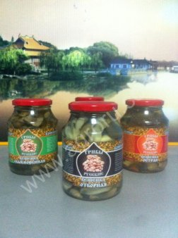 Вешенка Консервированная