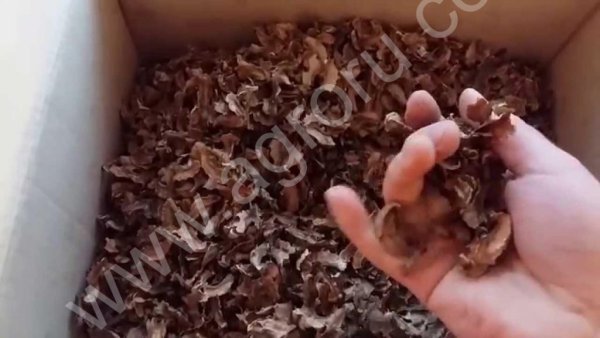 Очищеный грецкий орех