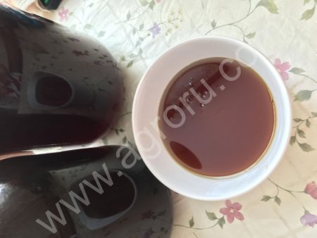 Гречишный мед 2017 г.