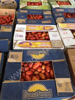 помидор сорт торквей F1