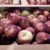Яблоки 65+ оптом от производителя от 20 тонн