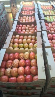 Помидор урожай 2016г.!