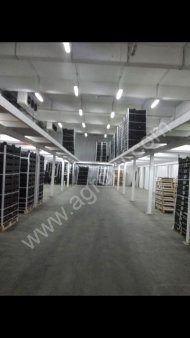 Клубники черешни- некондиция