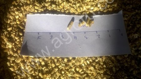 Комбикорм для свиней и других животных гранулированный