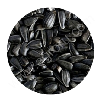 Подсолнечник Лакомка 38+ и сырье