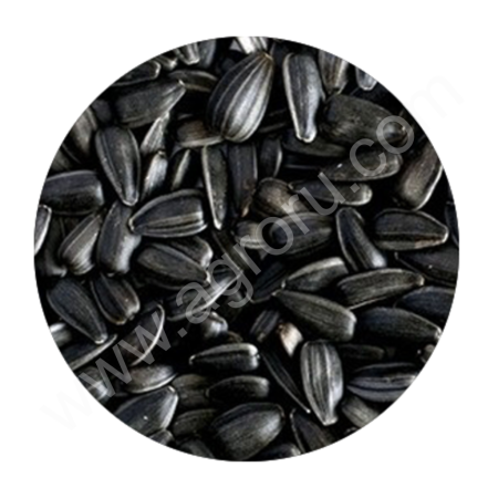 Подсолнечник Лакомка 38+ и сырье