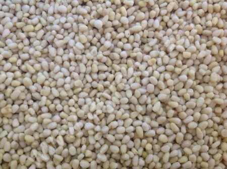 Ядро кедрового ореха