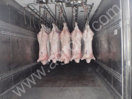 мясо свинины, говядины, телятины.