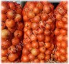 ЛУК репчатый оптом от производителя, урожай 2014.