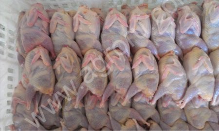 Перепелиные яйца, тушки, комбикорма