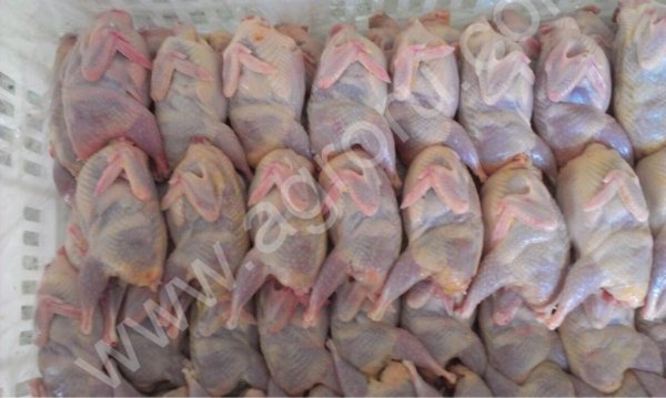 Перепелиные яйца, тушки, комбикорма