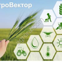 Семена донника желтого