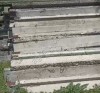 Ригель