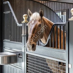 Денники для лошадей