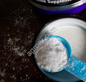 Креатин моногидрат порошок без вкуса