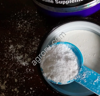 Креатин моногидрат порошок без вкуса
