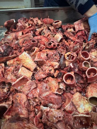 Корм животным говядина