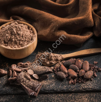 Какао-порошок алкализованный Bensdorp 10053-793