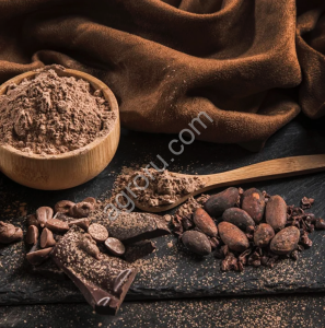 Какао-порошок алкализованный Bensdorp 10053-793