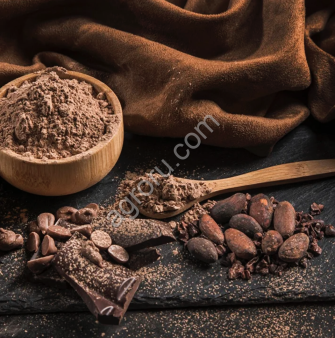 Какао-порошок алкализованный Bensdorp 10053-793