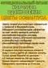 Функциональный купаж «Королева Вдохновения». Зелёный чай №95 и цветы Османтуса