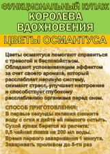 Функциональный купаж «Королева Вдохновения». Зелёный чай №95 и цветы Османтуса