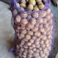 Картофель СЕМЕННОЙ 1-я и 2-я репродукции