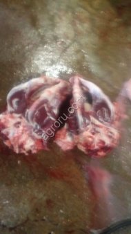 говяжьи головы