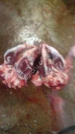 говяжьи головы