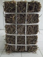 Корень солодки