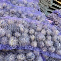 Картофель от производителя