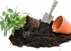 Почвогрунты