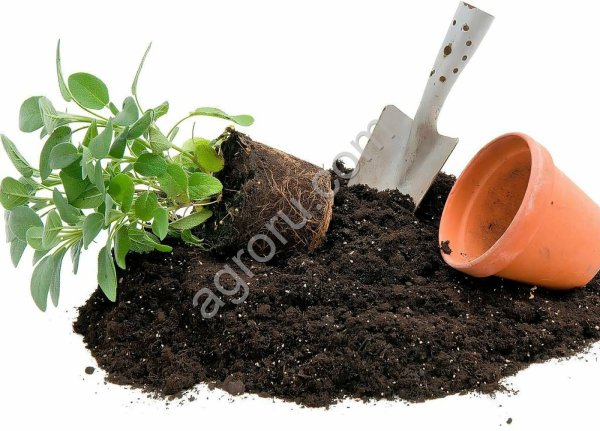 Почвогрунты