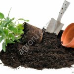 Почвогрунты