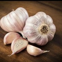 Чеснок