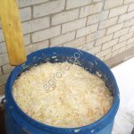 Капуста квашеная