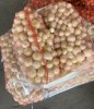 Лук репчатый очищенный