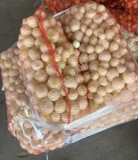 Лук репчатый очищенный